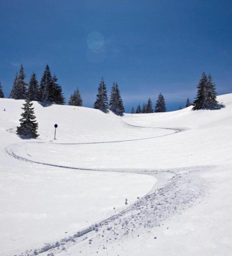 Apartments Suncani Vrhovi Kopaonik Bagian luar foto